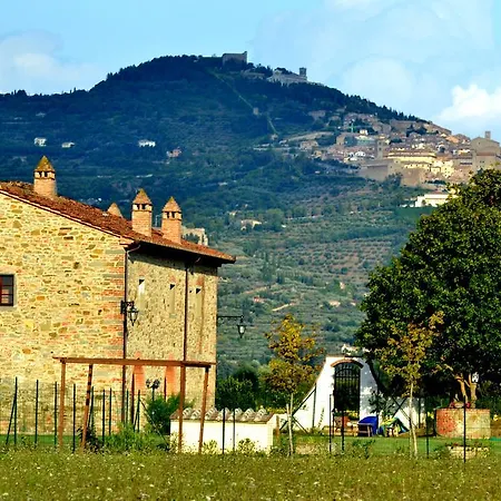 Apart Otel Il Grifone A