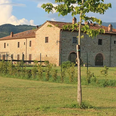 Il Grifone A