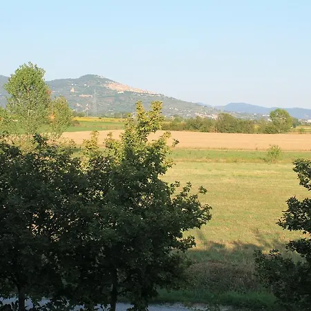 Apart Otel Il Grifone A 2*