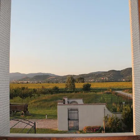 Apart Otel Il Grifone A 2*