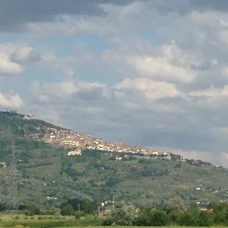 Il Grifone A 2*