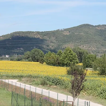 Il Grifone A Apart Otel Cortona