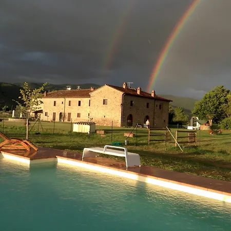 Il Grifone A